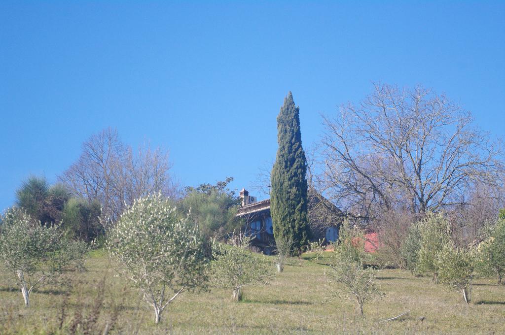 La Casa Sopra Le Nuvole Βίλα Medesano Εξωτερικό φωτογραφία